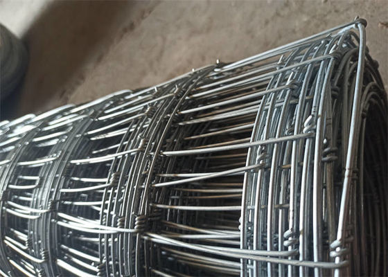 Corrosion Resistant Square Hole Field Fence For Agricultural Use