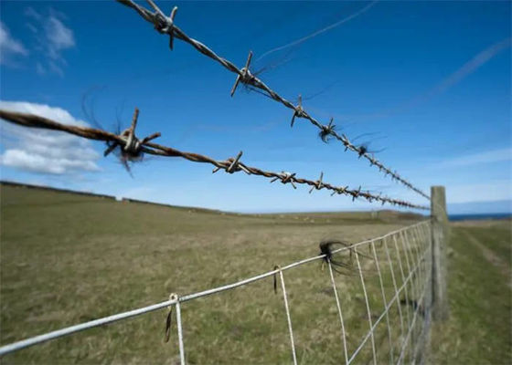 Galvanized Steel Field Fence For Enhanced Farm And Garden Protection