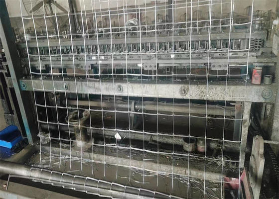 Hot Dipped Galvanized Field Fence Excellent Corrosion