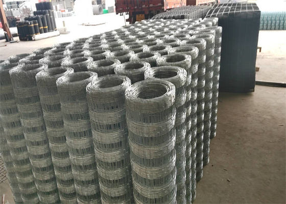 Hot Dipped Galvanzied Field Wire Fence / Fixed Knot Deer Fencing