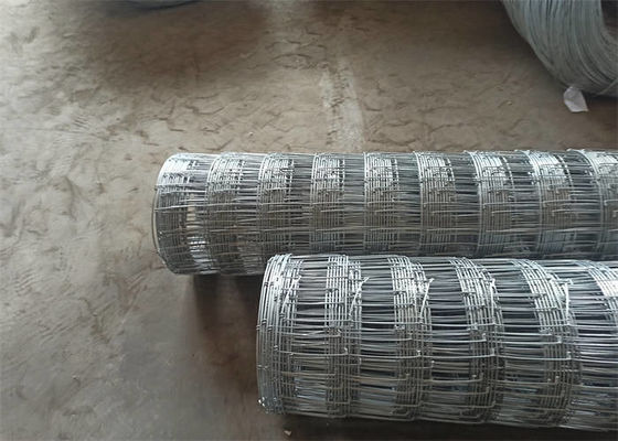 Electro Galvanized Field Wire Fence Rust Resistance Farm Field Fence