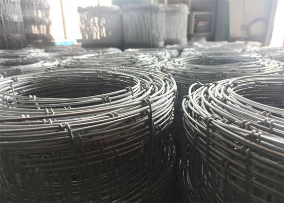 Electro Galvanized Field Wire Fence Rust Resistance Farm Field Fence