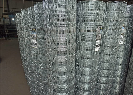 Square Hole Field Wire Fence Line Wire Diameter 2.5mm Horse Field Fence