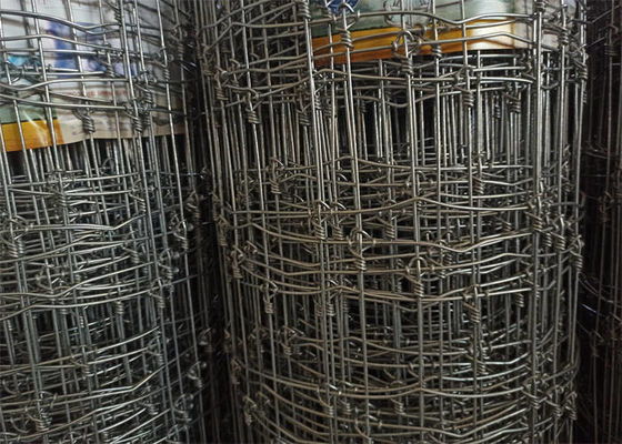 Galvanized Low Carbon Steel Wire Field Fence Easy Fixation High Strength