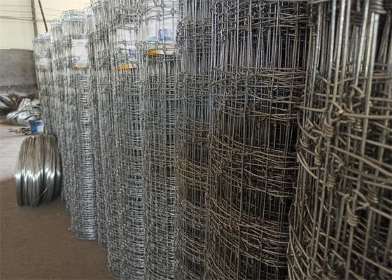 Galvanized Low Carbon Steel Wire Field Fence Easy Fixation High Strength