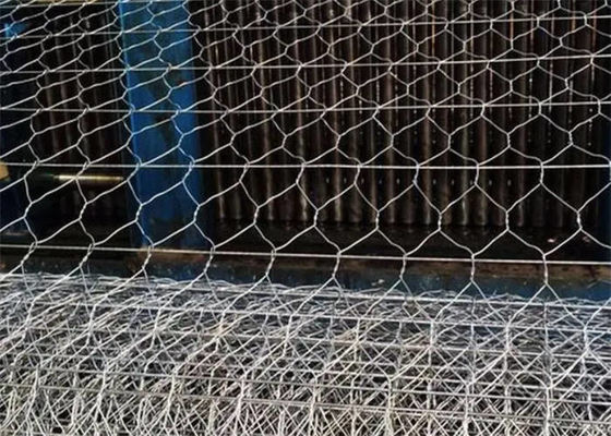 Sturdy Iron Wire Gabion Mesh for Plant Protection