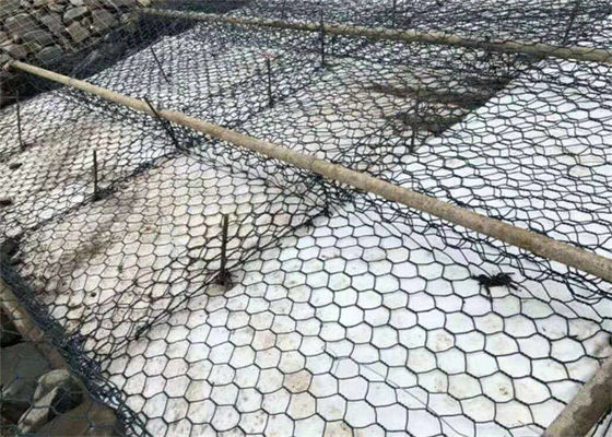 Sturdy Iron Wire Gabion Mesh for Plant Protection