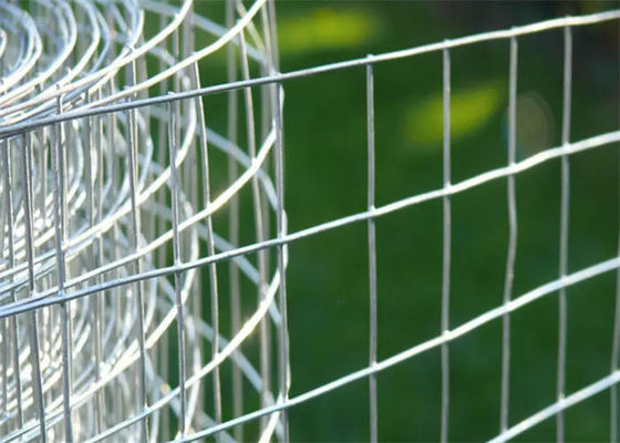 3mm Construction Welded Wire Mesh 1/2 X 1/2 Inch for Industry / Agriculture