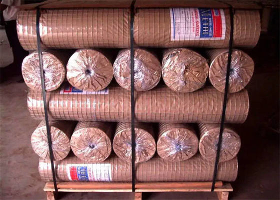Square Welded Wire Mesh Zinc Coated / PVC Coated Galvanized Wire Mesh