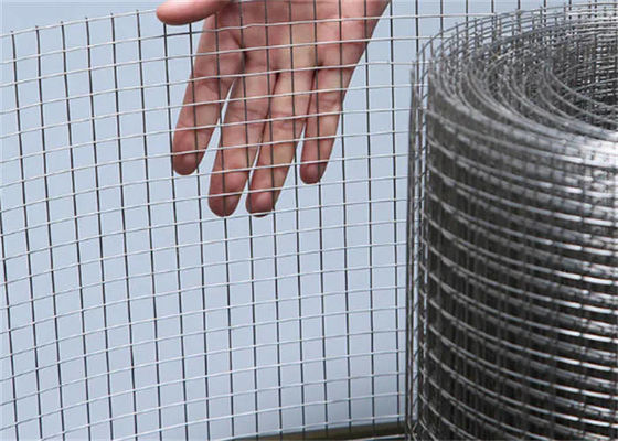 3mm Construction Welded Wire Mesh 1/2 X 1/2 Inch for Industry / Agriculture