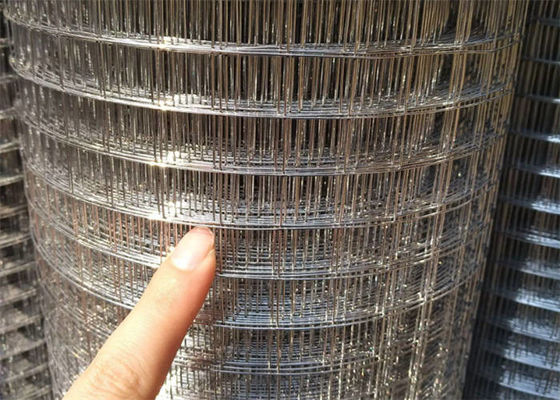 1/4 Inch PVC Coated Welded Wire Mesh Rolls ,  Architectural Wire Mesh For Green Building