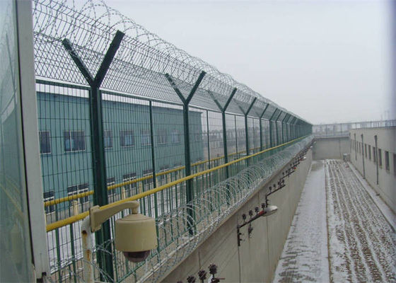 50 × 50MM Wire Mesh Welded Fence Free Sample Available