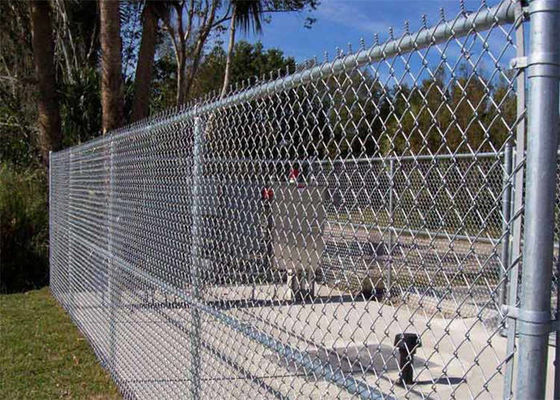 Height 2.4M Wire Mesh Fence Anti Intruder High Security