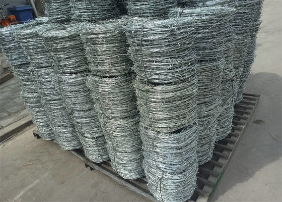 Electro Galvanized Barbed Wire Double Strand Silver Color Free Sample