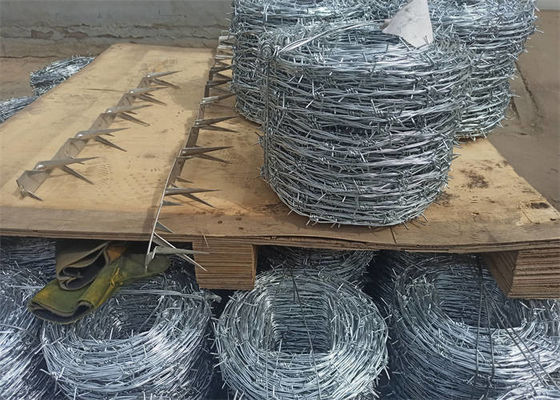 Electro Galvanized Barbed Wire Double Strand Silver Color Free Sample