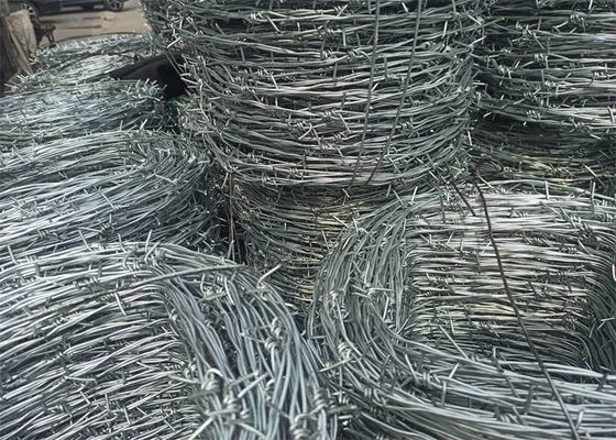 Electro Galvanized Barbed Wire Double Strand Silver Color Free Sample