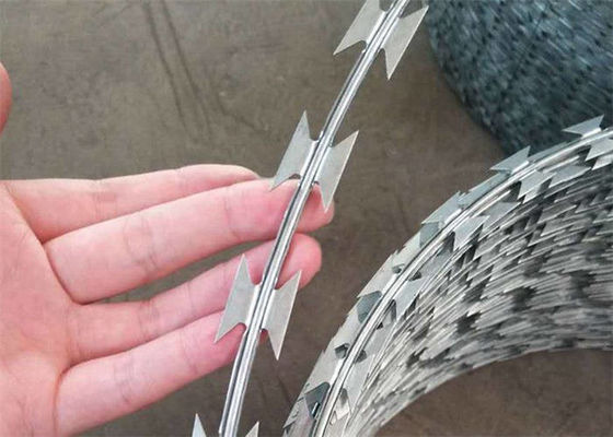 Hot Dipped Galvanized Concertina Barbed Wire Coil  BTO30 Barb Wire Coil