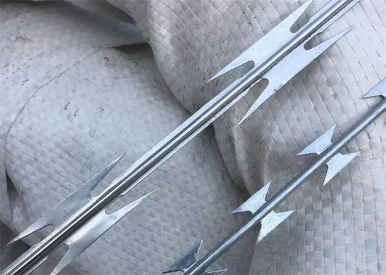 Hot Dipped Galvanized Concertina Barbed Wire Coil  BTO30 Barb Wire Coil