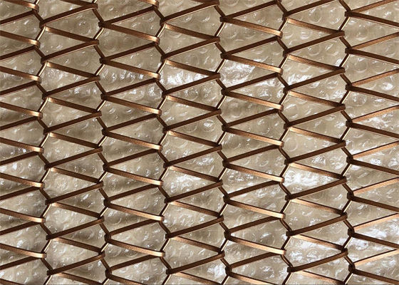 Convey Belt Architectural Wire Mesh Customized Metal Conveyor Belt Mesh