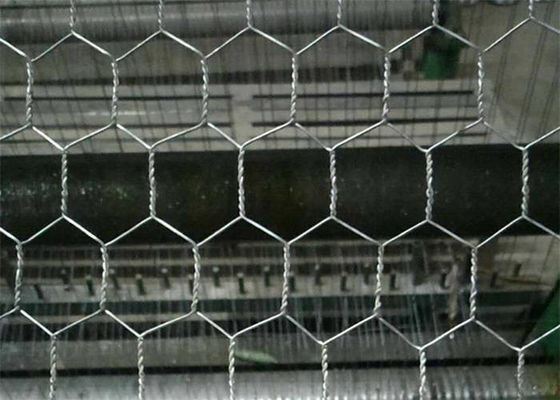 Electro Galvanized After Weaving Hexagonal Chicken Wire Mesh Netting